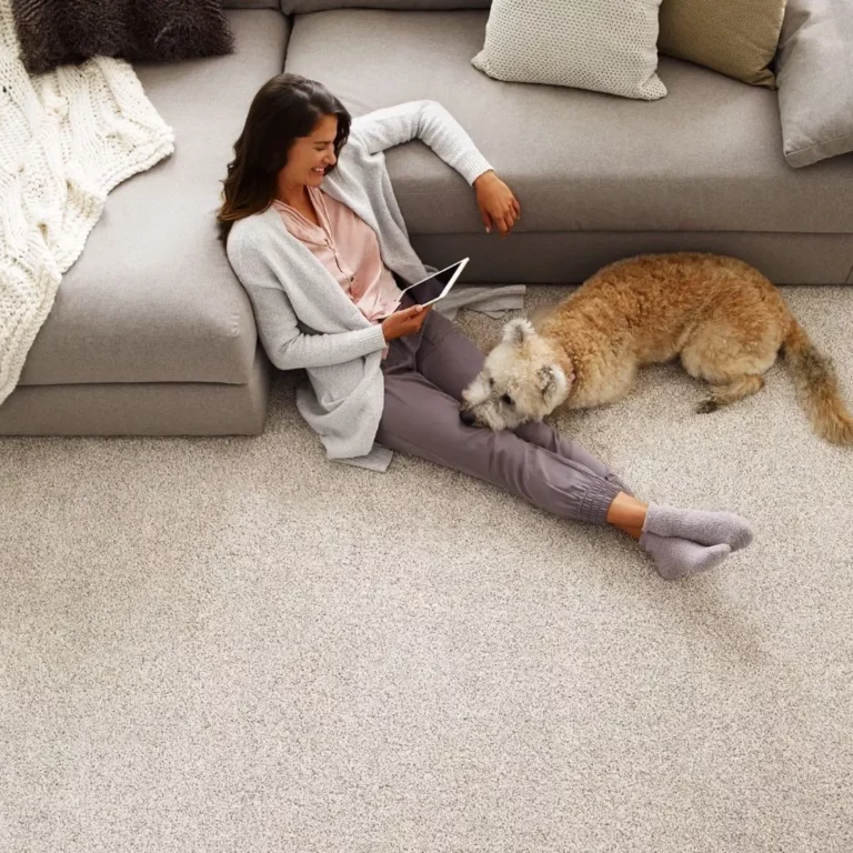 Carpet-Care-1024x768